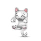 925 Sterling Silver and Crystal Charm Collection